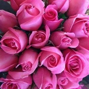 Meet your Posher, Cathy